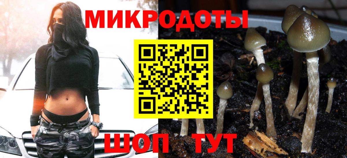 Галлюциногенные грибы прущие грибы Тайшет