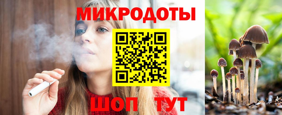как найти   Псилоцибиновые грибы Psilocybe  Вход с VPN  Тайшет 